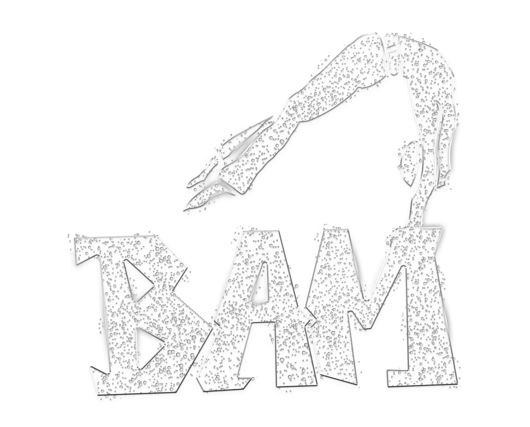 logo BAM